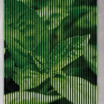 AKUSTIČNI PANELI FN ACUSTICO DIGI FOOD & DRINK 