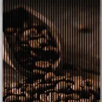 AKUSTIČNI PANELI FN ACUSTICO DIGI FOOD & DRINK 