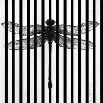 AKUSTIČNI PANELI FN ACUSTICO DIGI ANIMAL 