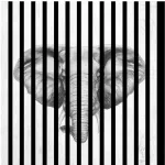 AKUSTIČNI PANELI FN ACUSTICO DIGI ANIMAL 