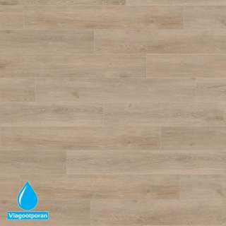 LAMINAT  8mm/Kl.33 HARO TRITTY200 AQUA 541 560 HRAST VENETO CREMA PLANK p=1,98 m2 