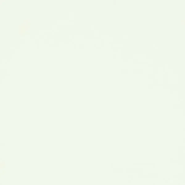 IVERICA OPLEMENJENA W960 ST7 BIJELA 16/2800/2070mm EGGER 