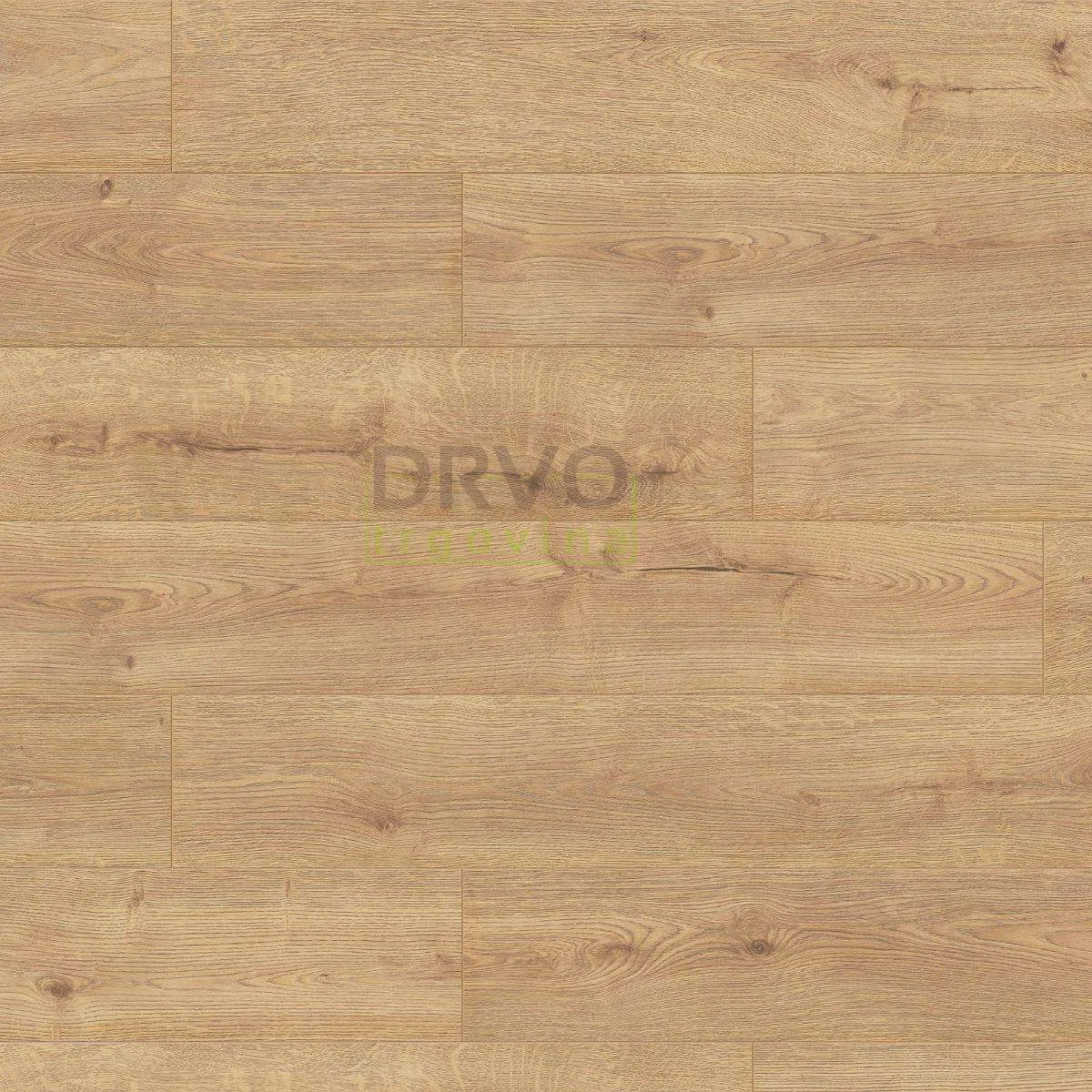 LAMINAT  8mm/Kl.32 JOKA 6501x HRAST SUMMER p=2,26 m2 