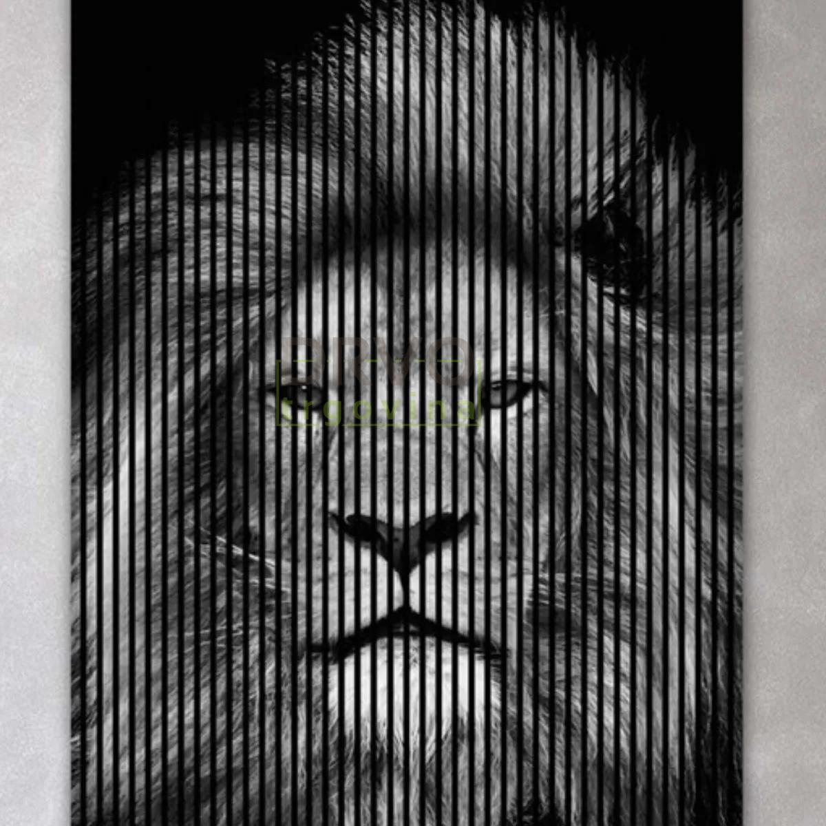 AKUSTIČNI PANELI FN ACUSTICO DIGI ANIMAL 