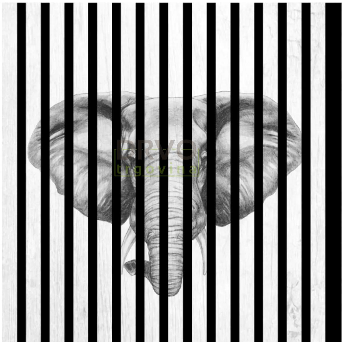 AKUSTIČNI PANELI FN ACUSTICO DIGI ANIMAL 